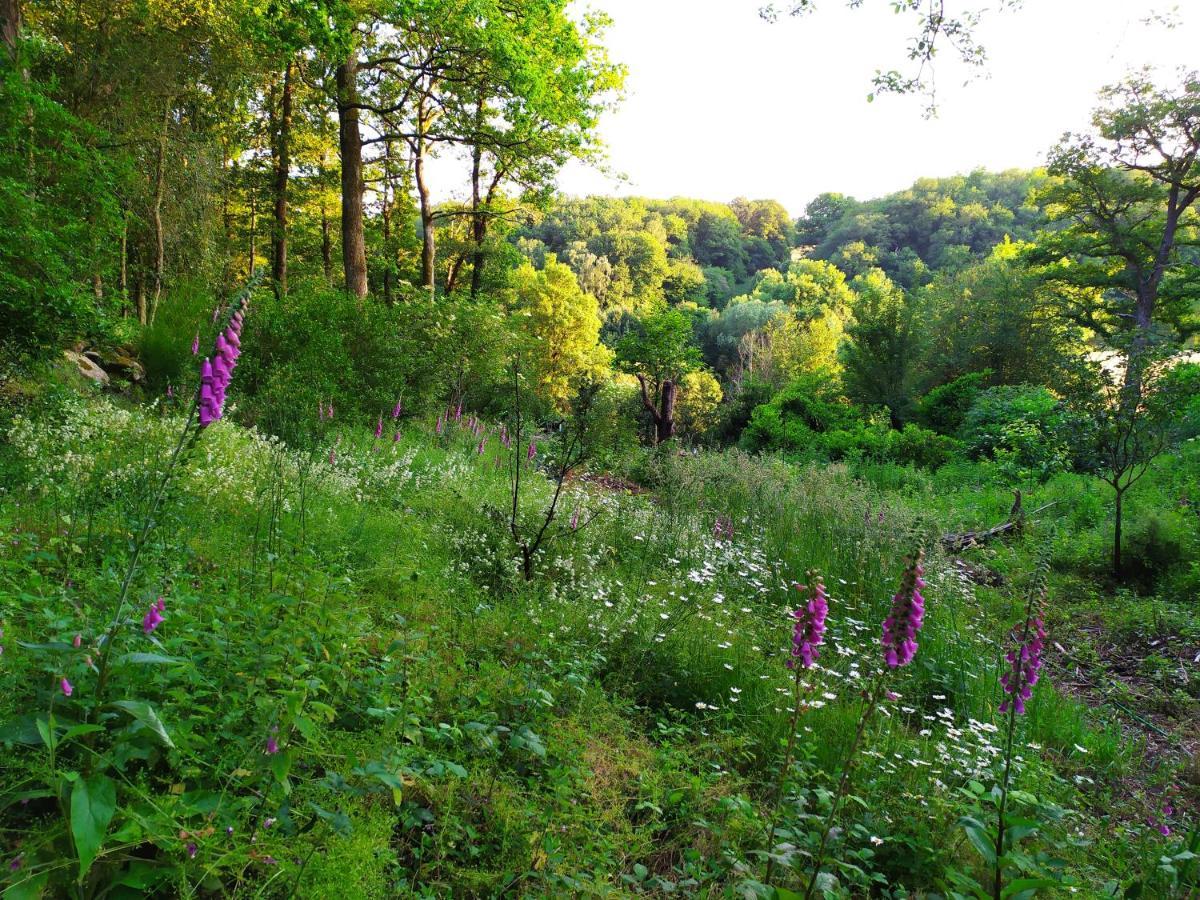 Les Gites Des Beaux Chenes Mortagne-sur-Sevre Exteriér fotografie